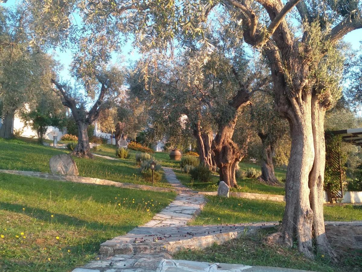 Saint Andrews Bay Villa Miliá Kültér fotó