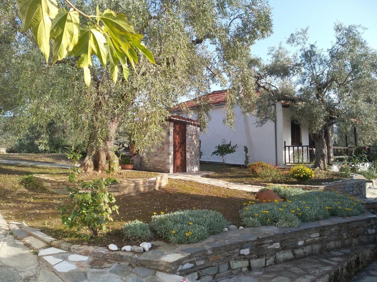 Saint Andrews Bay Villa Miliá Kültér fotó